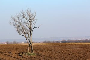 Read more about the article ΜΕΡΕΣ ΔΥΣΚΟΛΕΣ