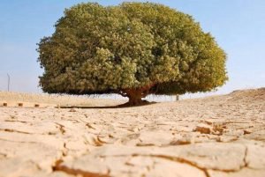 Read more about the article Ο ΜΥΘΟΣ ΤΟΥ ΕΡΥΣIΧΘΟΝΑ