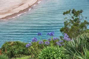 Read more about the article Ποίηση Χαϊκού – Κήποι σ᾽ ακρογιαλιά –
