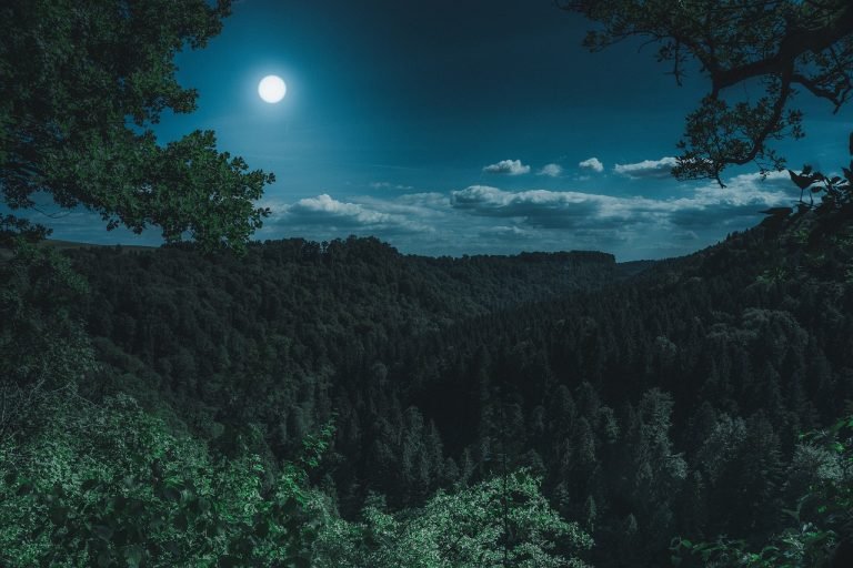 Read more about the article ΠΑΝΣΕΛΗΝΟΣ