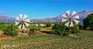 Read more about the article Μάθημα Ζωής – Τ΄αγκάθια ( Για τους καινούργιους μου φίλους)