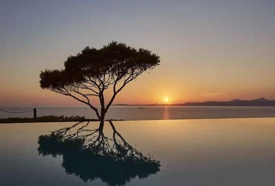 Read more about the article Ποίηση – Το παραδέχομαι. . . –