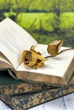 Read more about the article Σκέψεις – Ένα βιβλίο . . . –
