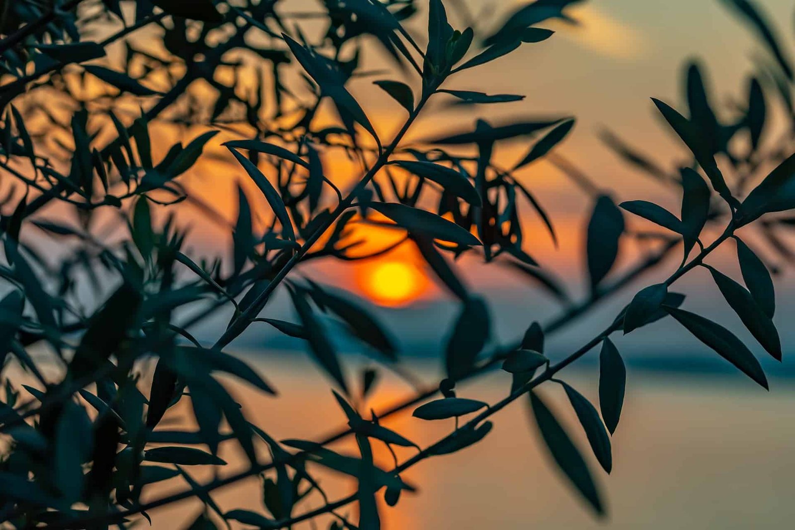 You are currently viewing Ποίηση – Είναι η θάλασσα –