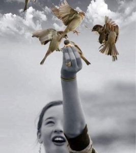 Read more about the article Σκέψεις – Ψάχνοντας ηρεμία . . . –