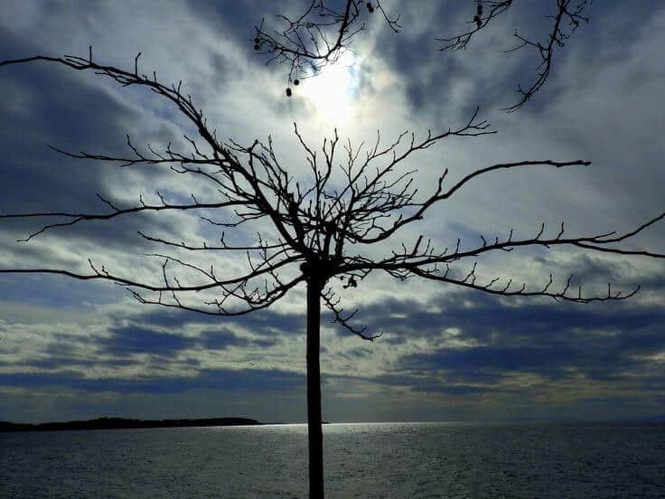 You are currently viewing Ποίηση – Τ΄απομεινάρια μιας Νύχτας –