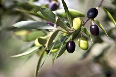 Read more about the article Ποίηση – Κλειστός του ονείρου ο δρόμος –